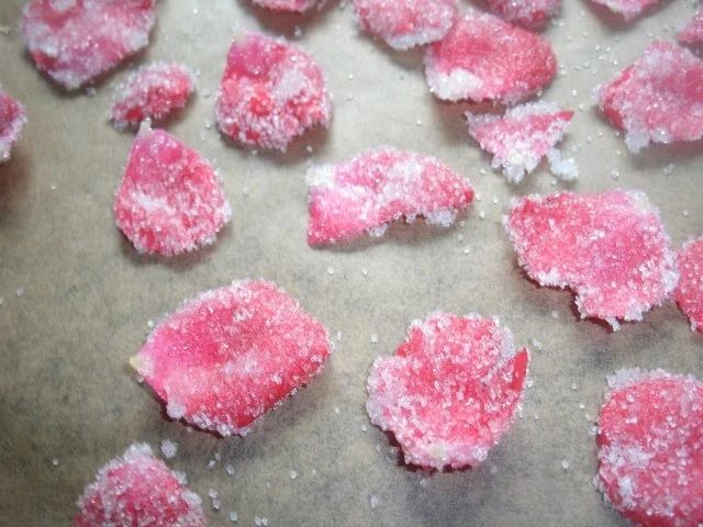 Rezept: Kandierte Rosenblütenblätter Bild Nr. 4 Kandierte Rosenblütenblätter - Rezept - Bild Nr. 4