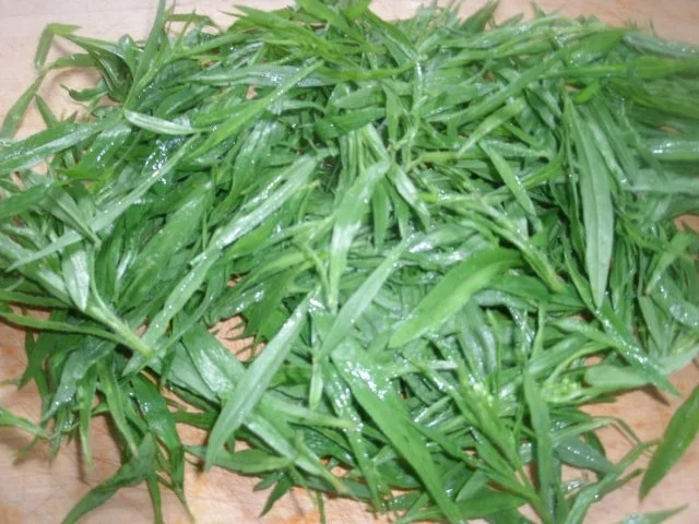 Tomatensalat mit Katzenschweif - Rezept - Bild Nr. 3