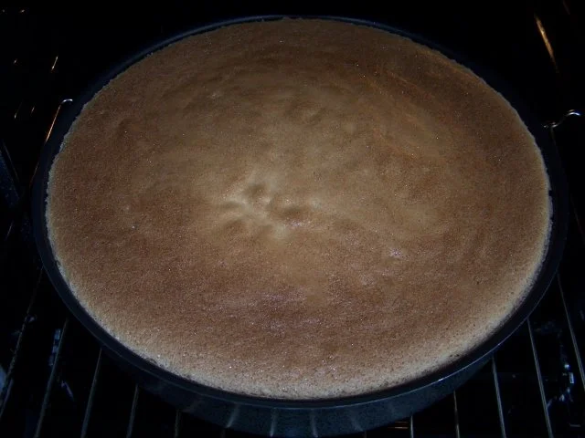 Heller Biskuit - Rezept - Bild Nr. 4