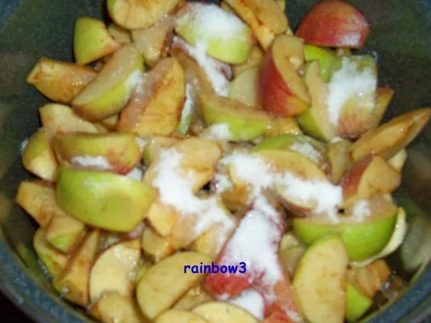 Einmachen: Apfelmus ... ala Oma - Rezept - Bild Nr. 2