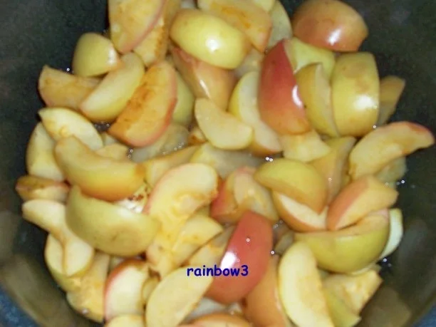 Einmachen: Apfelmus ... ala Oma - Rezept - Bild Nr. 3