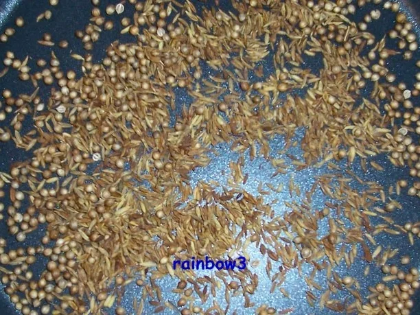 Gewürz: Garam Masala - Rezept - Bild Nr. 3