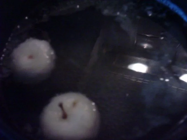 Wildlachsfilet mit Apfel-Pilzreis und Kräutersoße - Rezept - Bild Nr. 3