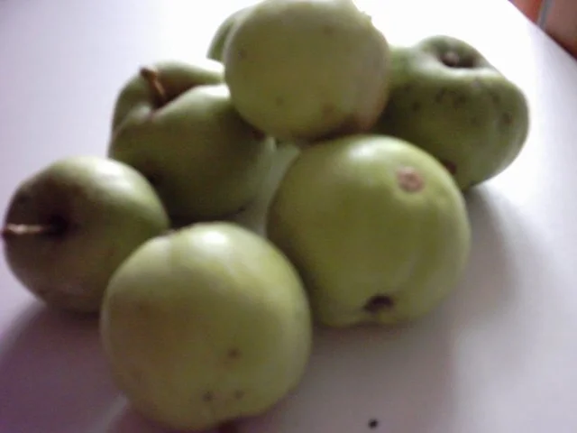 Wildlachsfilet mit Apfel-Pilzreis und Kräutersoße - Rezept - Bild Nr. 2