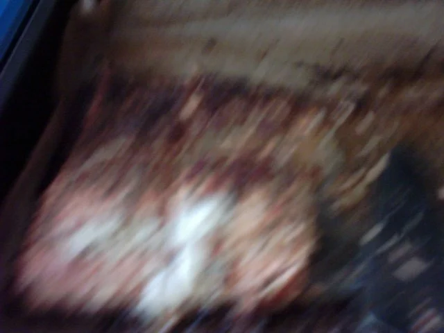 Wildlachsfilet mit Apfel-Pilzreis und Kräutersoße - Rezept - Bild Nr. 6