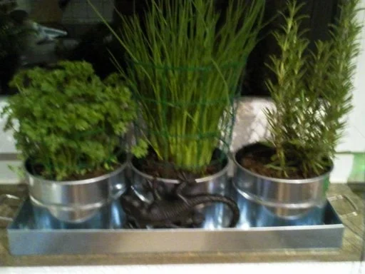 Pasta mit schnittigem Pesto. - Rezept - Bild Nr. 2