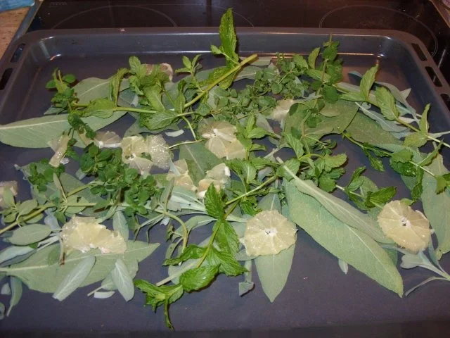 D: Forellen auf dem Kräuterbett - Rezept - Bild Nr. 2