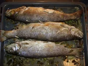 D: Forellen auf dem Kräuterbett - Rezept