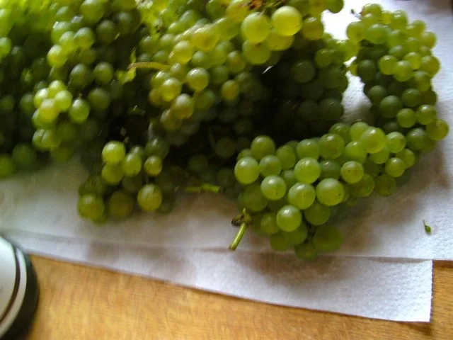 Winzer Weintrauben Gelee - Rezept - Bild Nr. 2