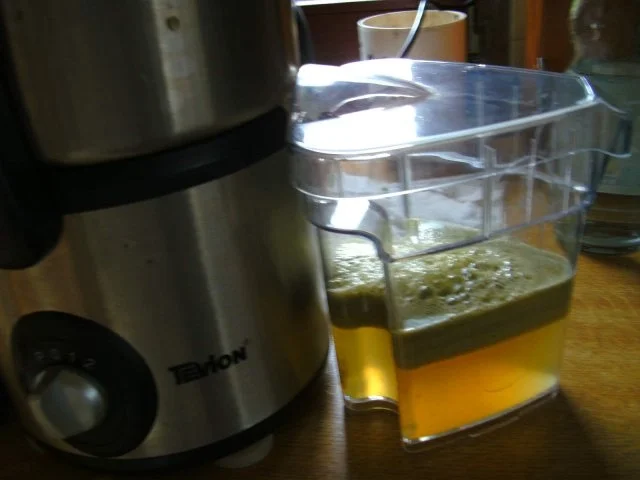 Winzer Weintrauben Gelee - Rezept - Bild Nr. 3