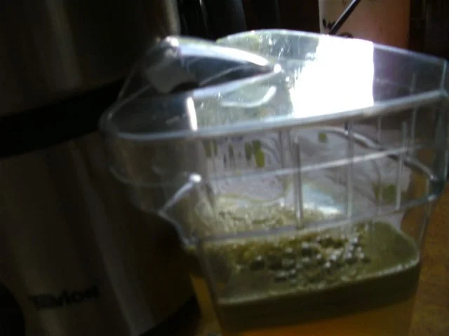 Winzer Weintrauben Gelee - Rezept - Bild Nr. 4