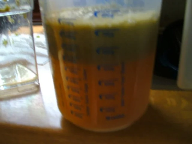 Winzer Weintrauben Gelee - Rezept - Bild Nr. 5