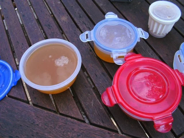 Winzer Weintrauben Gelee - Rezept - Bild Nr. 8