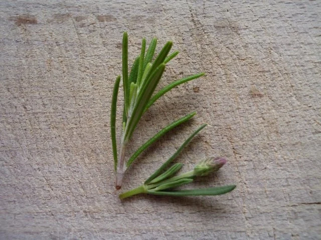 Bohnen-Tomaten-Hack-Pfanne - Rezept - Bild Nr. 4