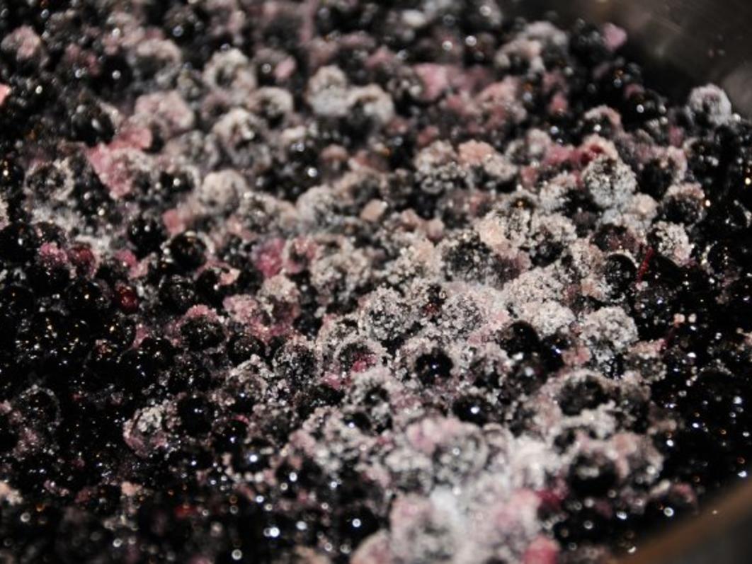 Holunder Joghurt Terrine - einfach - von tonka Holunder Joghurt Terrine - einfach - von tonka