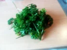 Petersilie für den Winter - Rezept