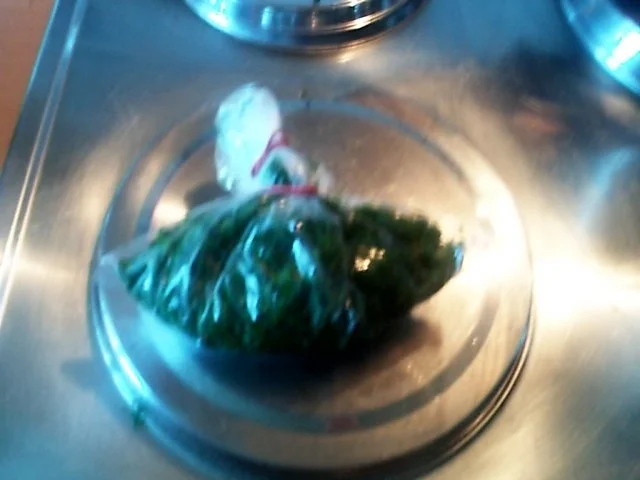 Rezept: Petersilie für den Winter Bild Nr. 5 Petersilie für den Winter - Rezept - Bild Nr. 5