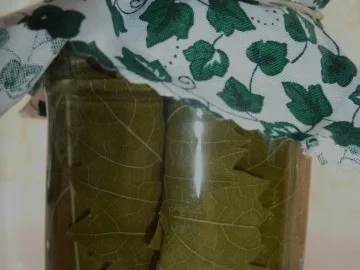 Rezept: Eingelegte Weinblätter Eingelegte Weinblätter - Rezept