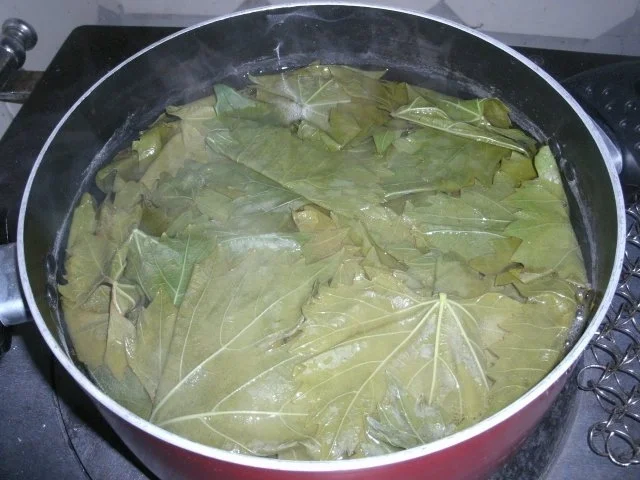 Rezept: Eingelegte Weinblätter Bild Nr. 5 Eingelegte Weinblätter - Rezept - Bild Nr. 5