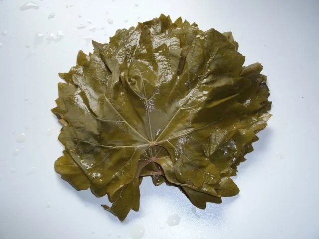 Rezept: Eingelegte Weinblätter Bild Nr. 6 Eingelegte Weinblätter - Rezept - Bild Nr. 6