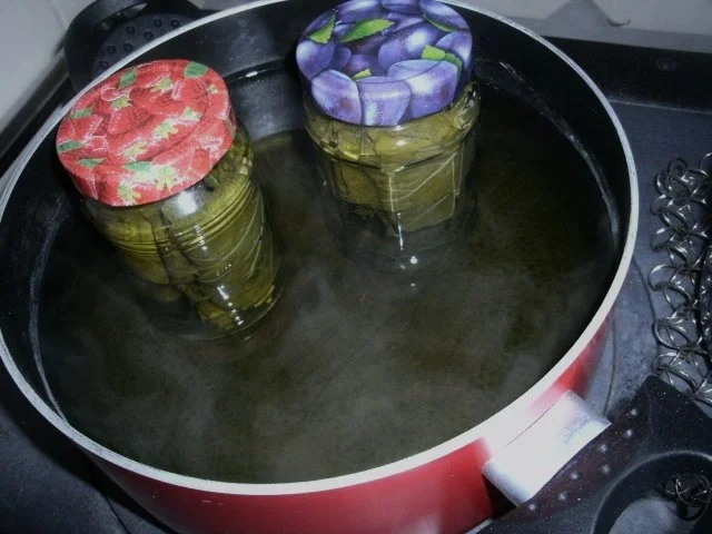 Rezept: Eingelegte Weinblätter Bild Nr. 8 Eingelegte Weinblätter - Rezept - Bild Nr. 8