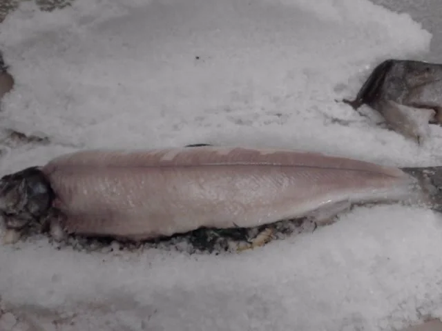 Bachsaibling in der Salzkruste mit  lauwarmen Kartoffelsalat - Rezept - Bild Nr. 5