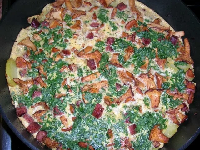 Pfifferling-Bauern-Omelett, das etwas andere Omelett  (meine schnelle Feierabendküche) - Rezept - Bild Nr. 7