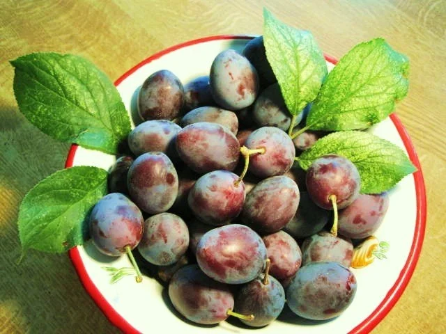 Rezept: Zwetschgen in Rum ... Bild Nr. 2 Zwetschgen in Rum ... - Rezept - Bild Nr. 2