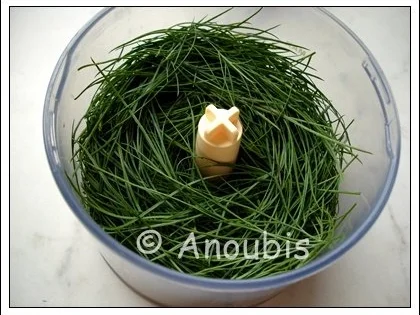 Rezept: Gewürzmischung - Dillpaste Bild Nr. 2 Gewürzmischung - Dillpaste - Rezept - Bild Nr. 2