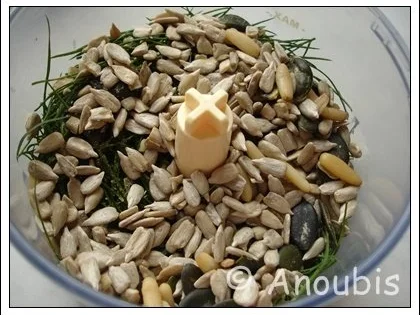 Rezept: Gewürzmischung - Dillpaste Bild Nr. 3 Gewürzmischung - Dillpaste - Rezept - Bild Nr. 3