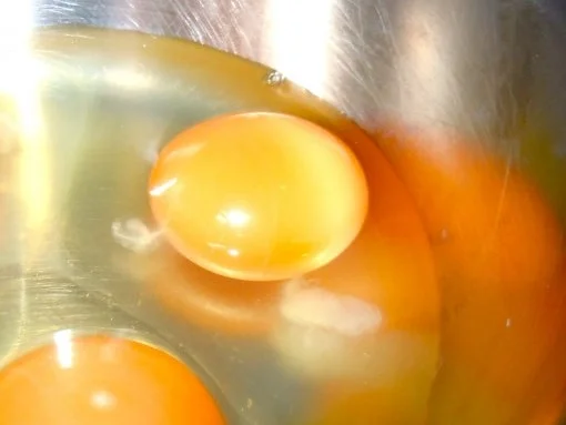 Rezept: Omelett mit Pfifferlingen Bild Nr. 3 Omelett mit Pfifferlingen - Rezept - Bild Nr. 3