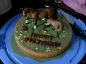 Larissas Pferdewiese - Rezept