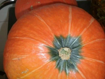 Hokkaidokürbis- Kartoffelpüree mit Röstzwiebel - Rezept - Bild Nr. 3