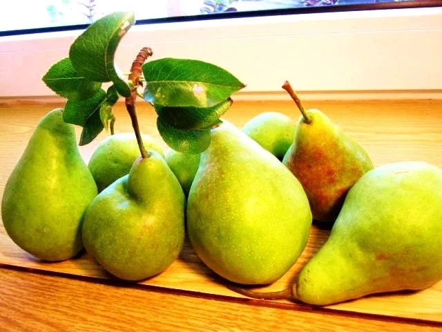 Birnen, Bohnen und Speck ... - Rezept - Bild Nr. 8378