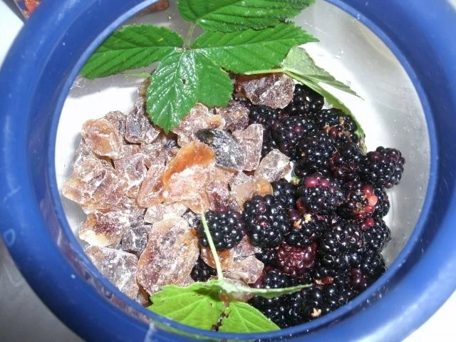 Rezept: Brombeerlikör mit Wodka Brombeerlikör mit Wodka - Rezept