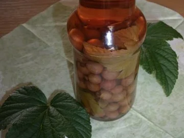 Rezept: Johannisbeeressig Cassis Johannisbeeressig Cassis - Rezept