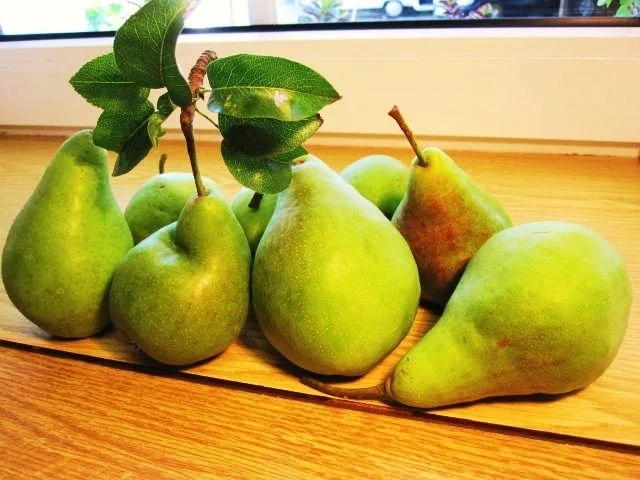 Sauerkraut mit Birnen ... - Rezept - Bild Nr. 2