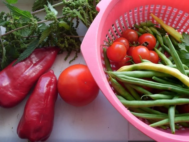 Rezept: Zucchinisalat Bild Nr. 4 Zucchinisalat - Rezept - Bild Nr. 4