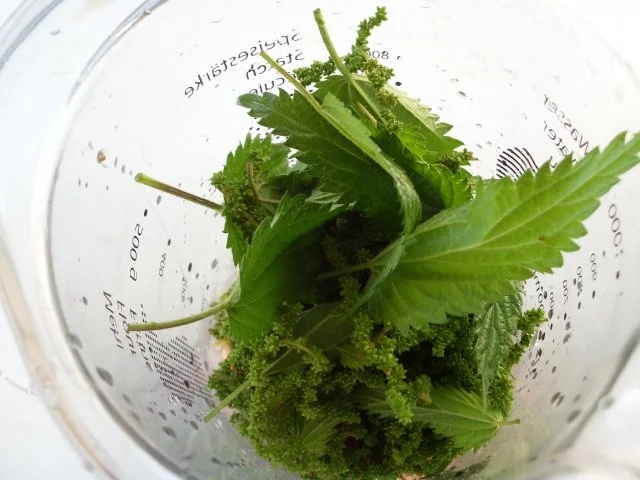 Rezept: Zucchinicreme Bild Nr. 6 Zucchinicreme - Rezept - Bild Nr. 6