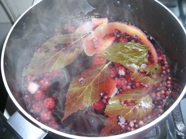 Holunder- Brombeer- Apfel- Erkältungsgetränk - Rezept - Bild Nr. 4