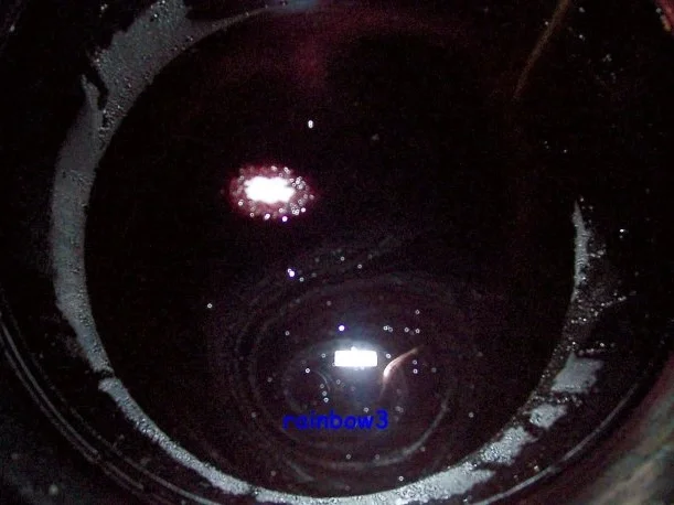 Gesundheit: Holundersaft - Rezept - Bild Nr. 3