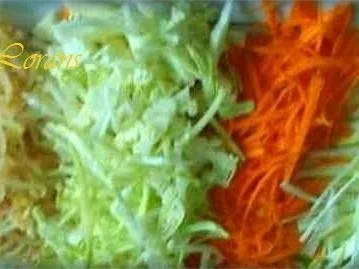 Vegetarische Frühlingsrollen - Rezept - Bild Nr. 4