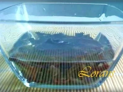 Vegetarische Frühlingsrollen - Rezept - Bild Nr. 5