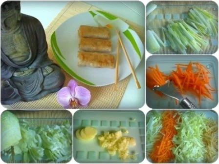 Vegetarische Frühlingsrollen - Rezept - Bild Nr. 15