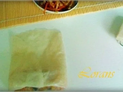 Vegetarische Frühlingsrollen - Rezept - Bild Nr. 9