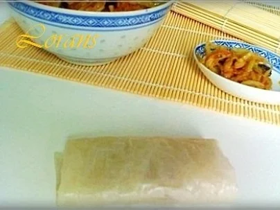 Vegetarische Frühlingsrollen - Rezept - Bild Nr. 10