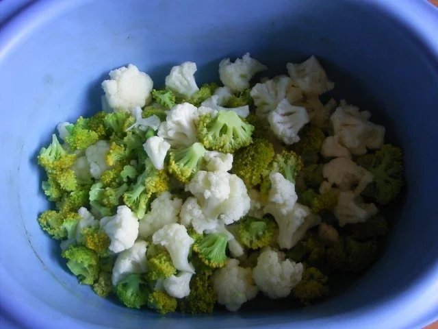 "Grün-Weißer Auflauf" - Rezept - Bild Nr. 5