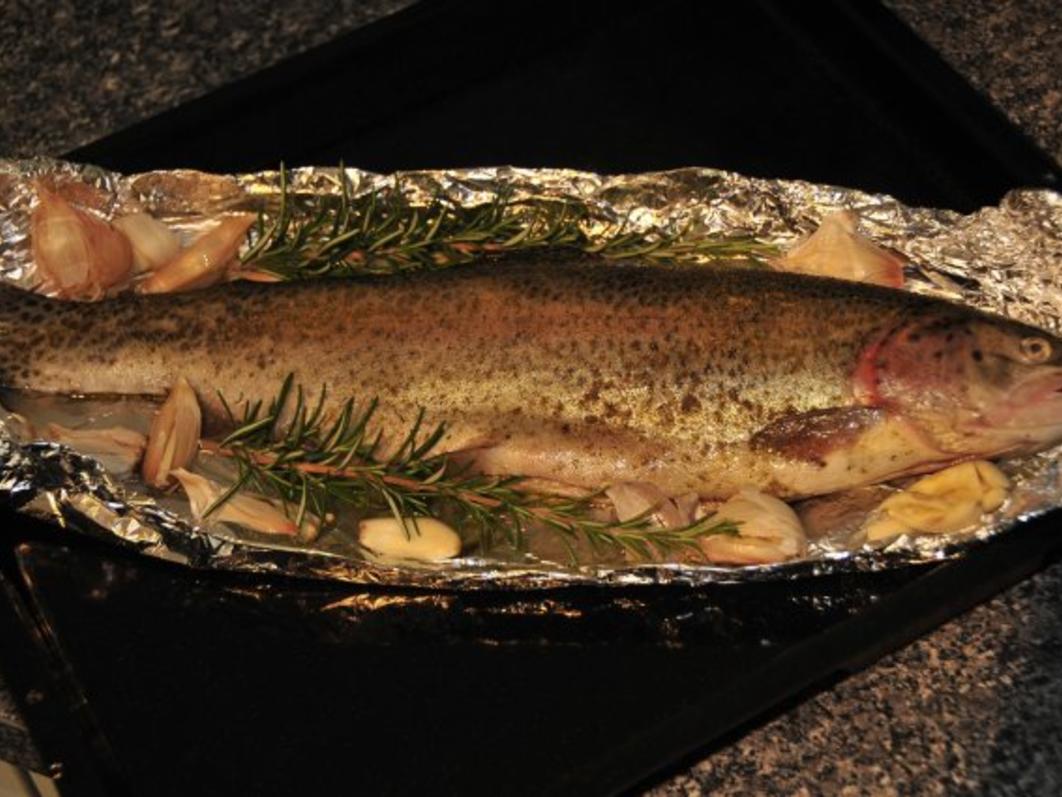 Forelle aus dem Backrohr - einfach - von tonka Forelle aus dem Backrohr - einfach - von tonka