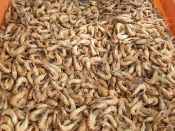 Ebbe und Flut - Rezept - Bild Nr. 2