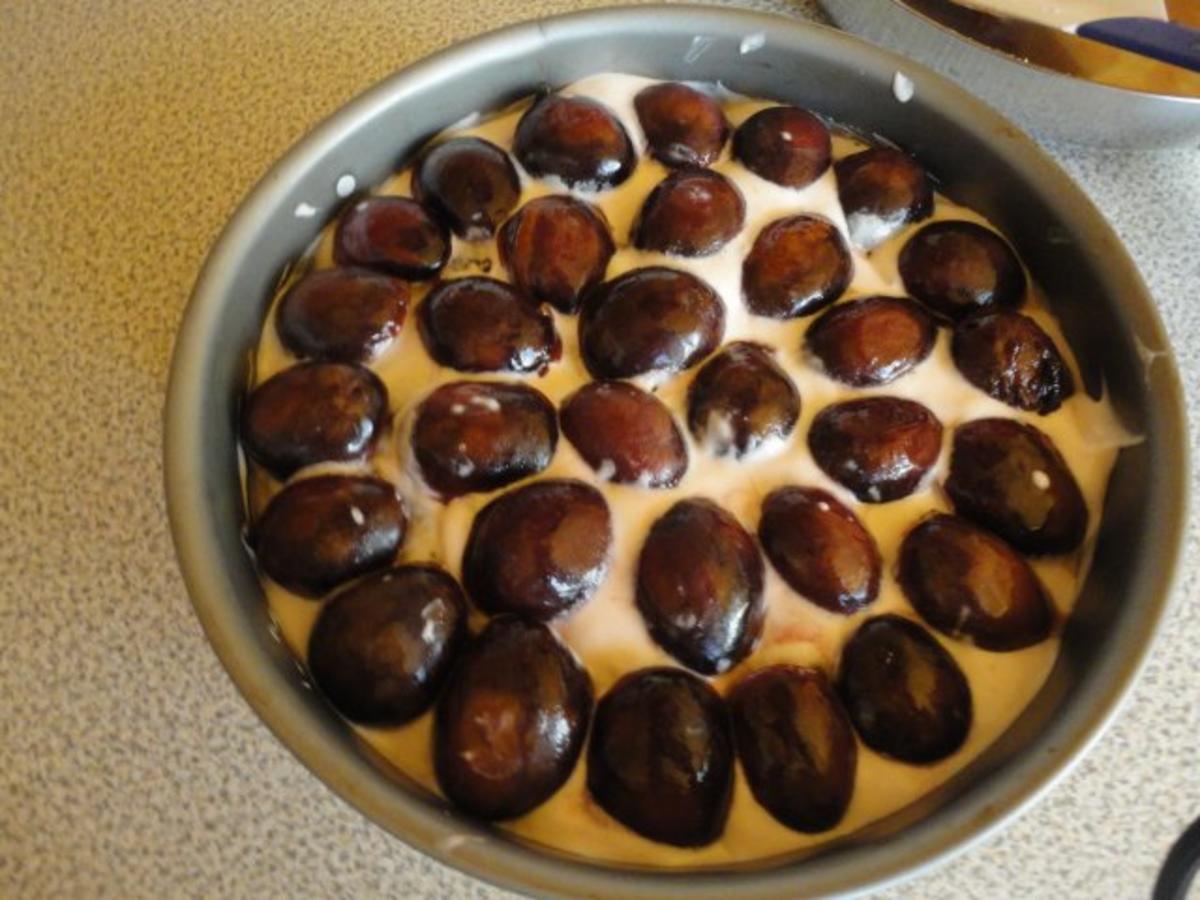 Schokolade - Pflaumen - Torte - Rezept - Bild Nr. 12